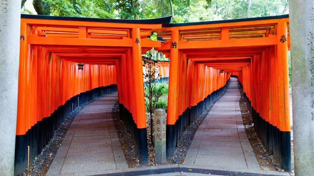 Fushimi Inari Taisha “Through a Thousand Torii Gates into a Mystical World!”